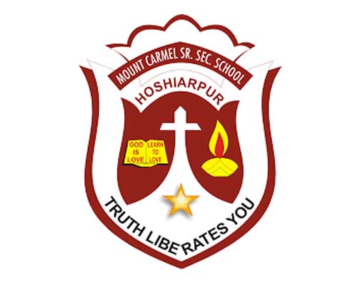 Accurate Info Solutions Ludhiana