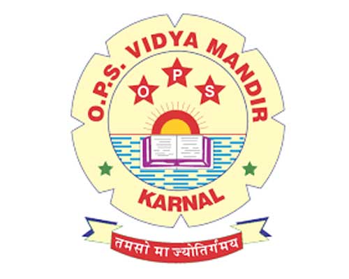 Accurate Info Solutions Ludhiana