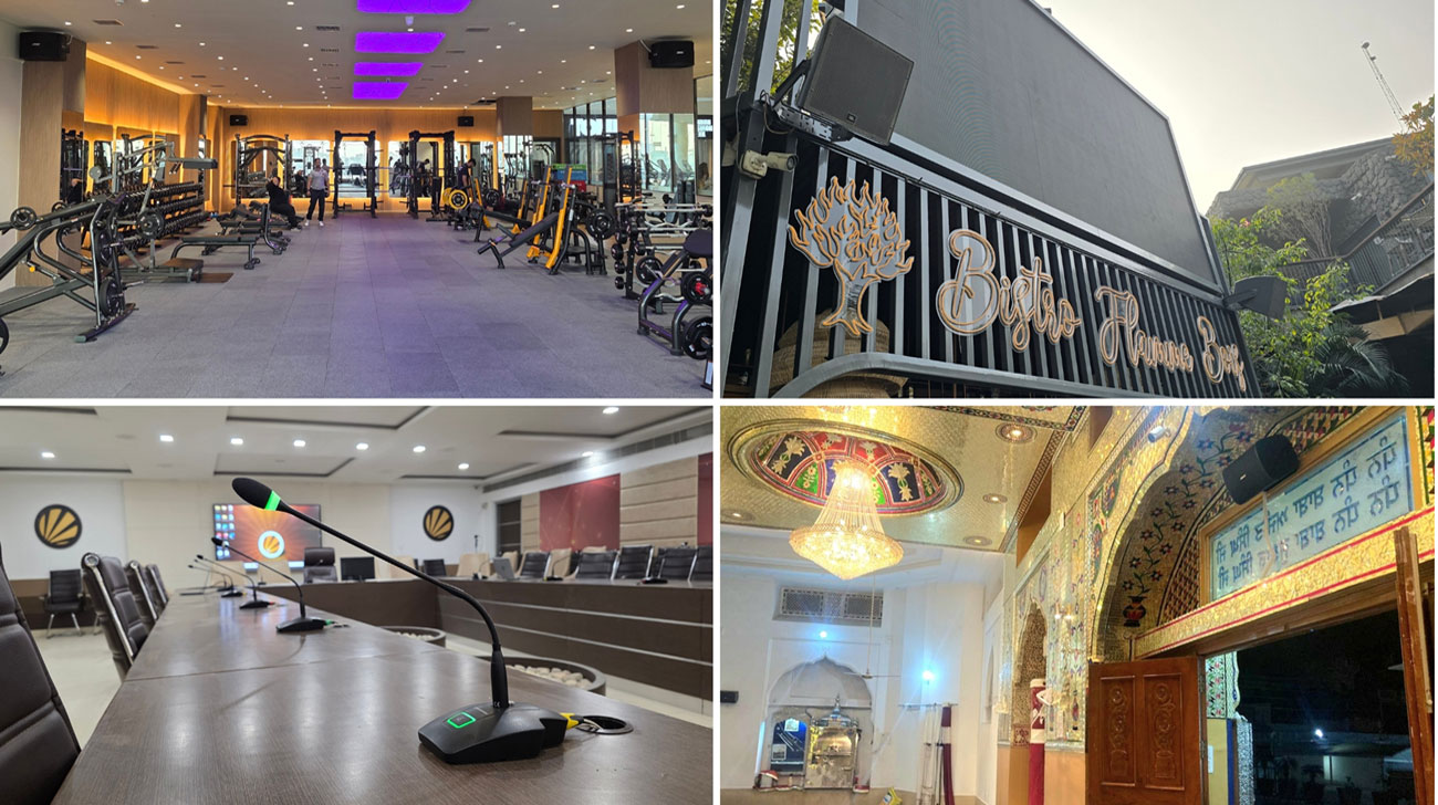 Accurate Info Solutions Ludhiana